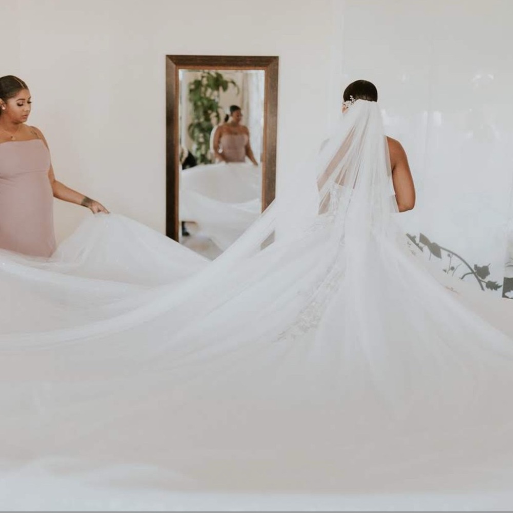 Elegant White Bridal Veil